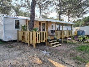 Mobile home 65927 TyBreizh Holidays at the Oasis Village 4 star, Puget-Sur-Argens